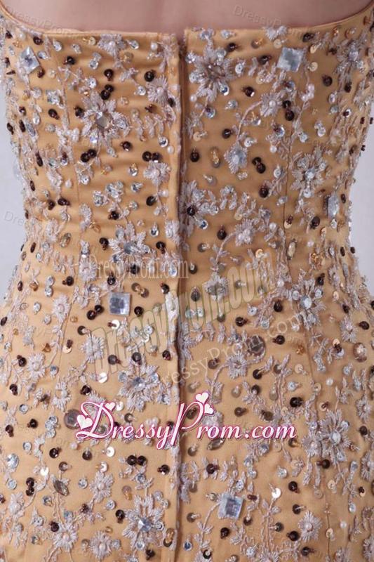 Unique Brush Train Column Prom Dress with Lace and Beading