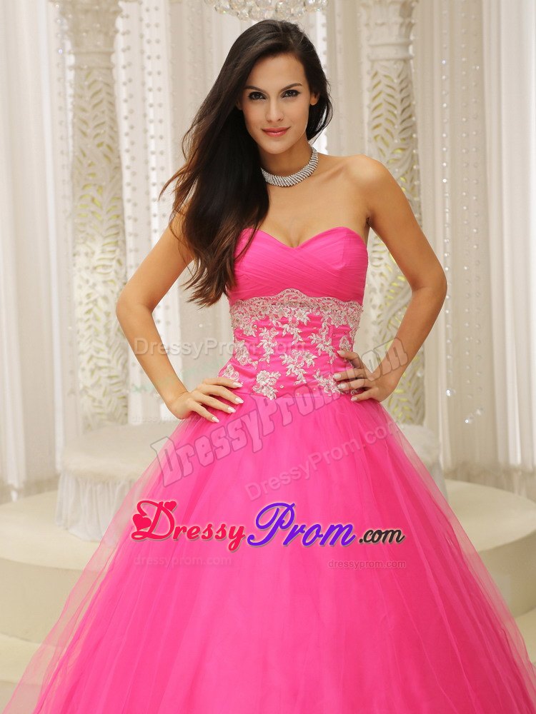 A-line Sweetheart Hot Pink Prom Celebrity Dress with Appliques