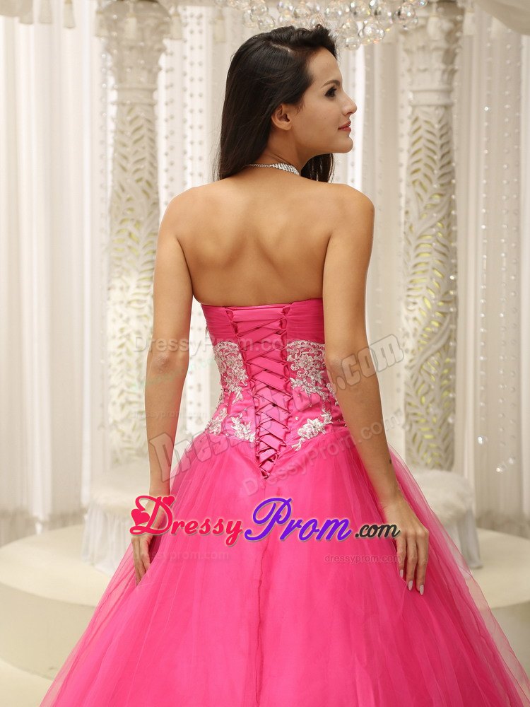 A-line Sweetheart Hot Pink Prom Celebrity Dress with Appliques