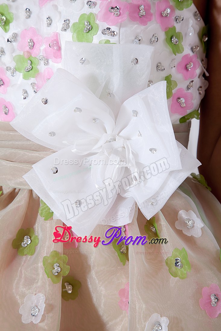 Colorful Sweetheart A-line Organza Mini-length Prom Dress with Appliques