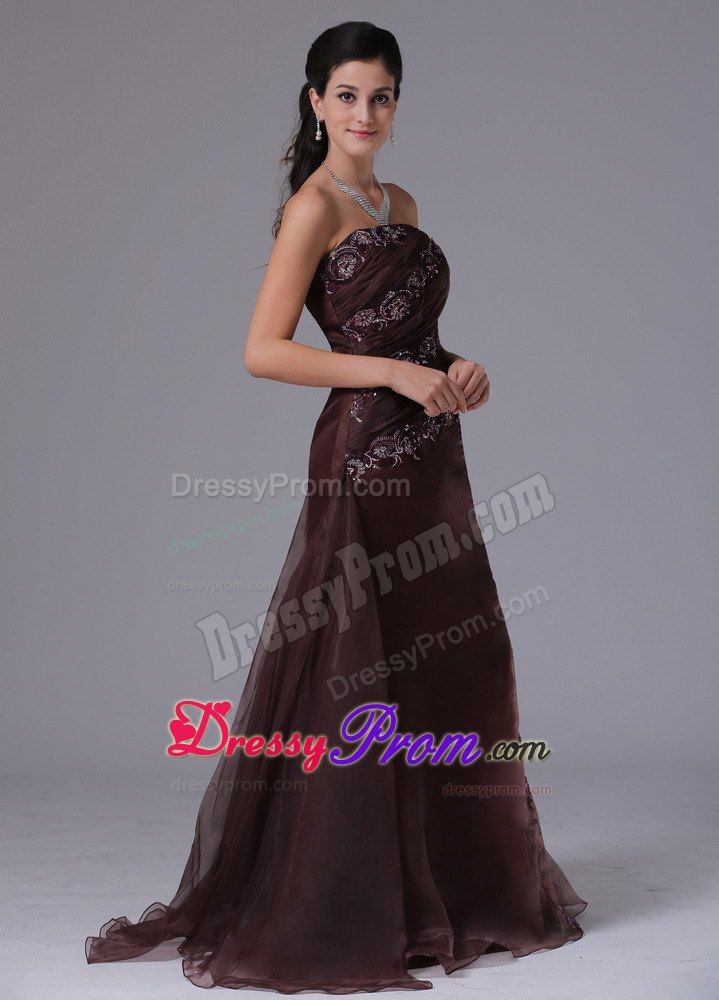 Brown Strapless Arkansas Column Prom Gown Dress With Appliques