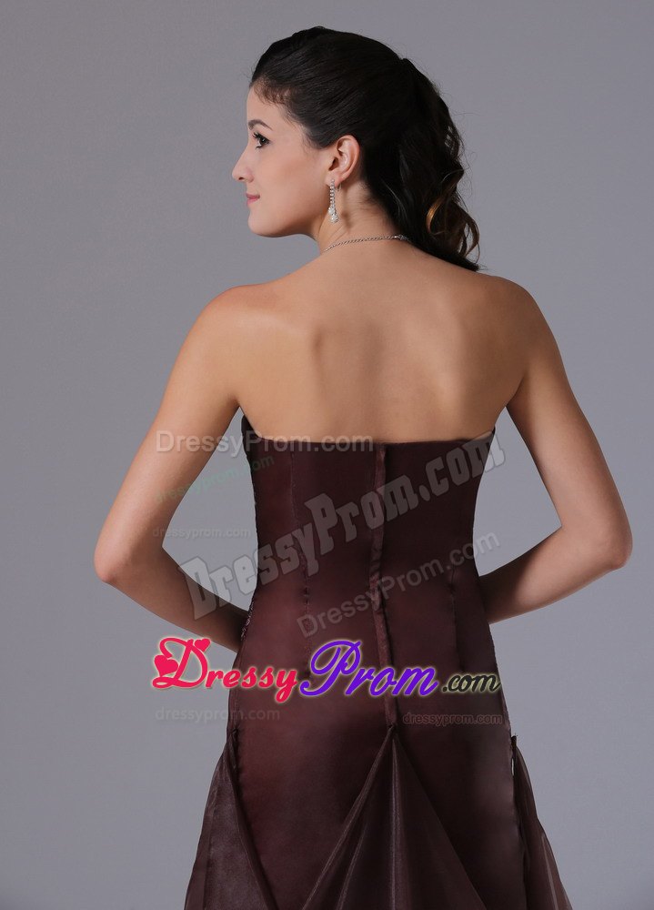 Brown Strapless Arkansas Column Prom Gown Dress With Appliques