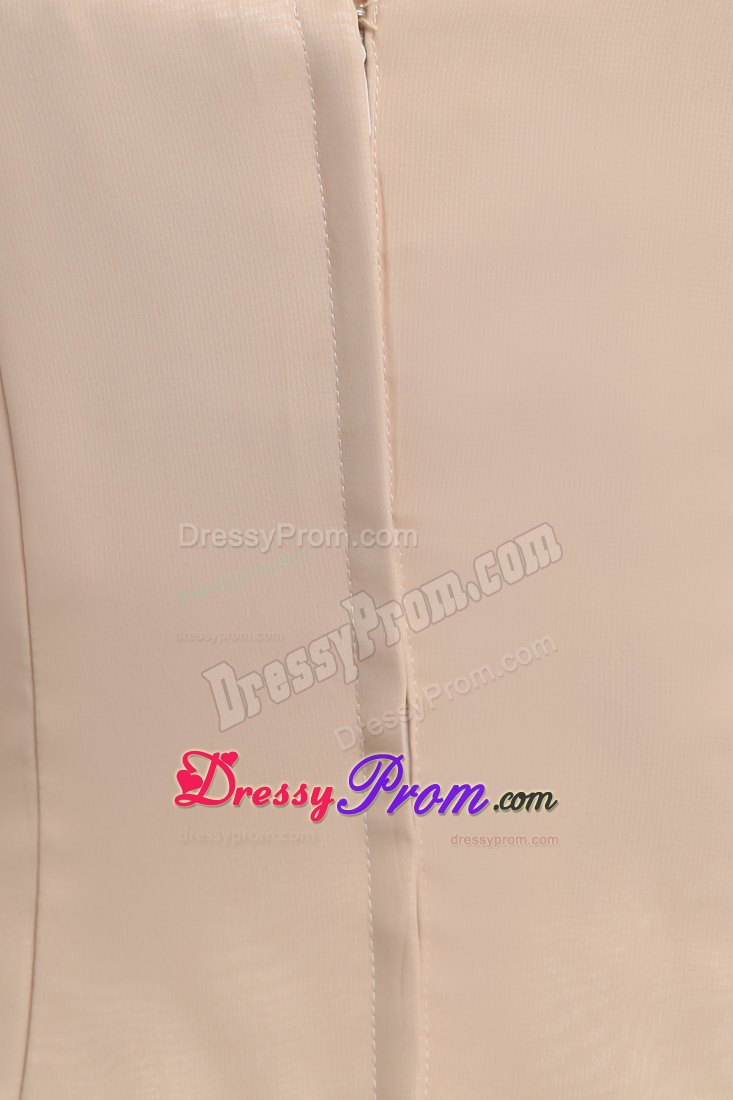 Straps Empire Prom Homecoming Dress in Champagne with Brush Train