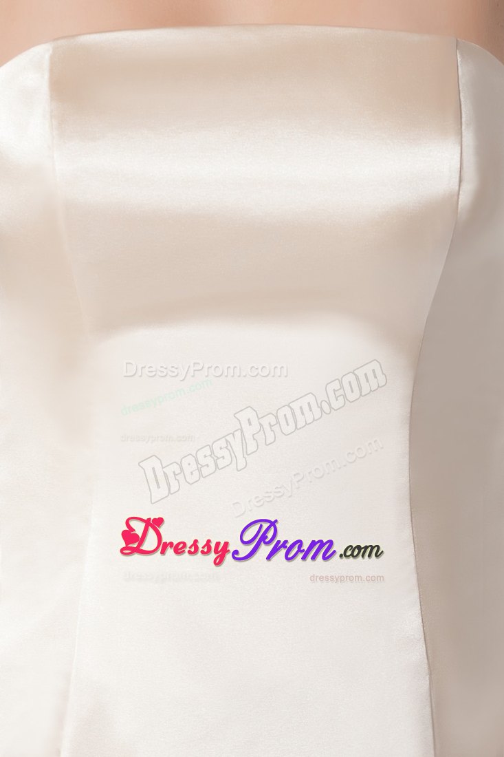 Jacket Matching Sheath Prom Gown in Champagne with Watteau