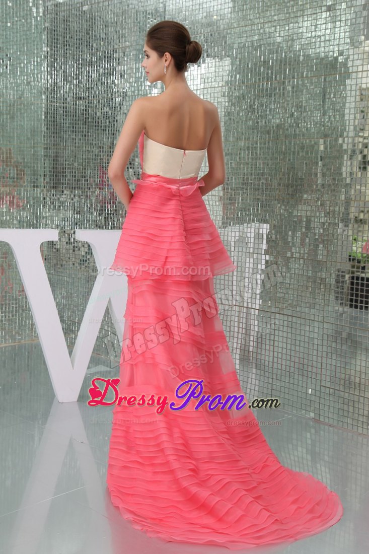 Watermelon Strapless Brush Train Prom Mother Of The Bride Dresses