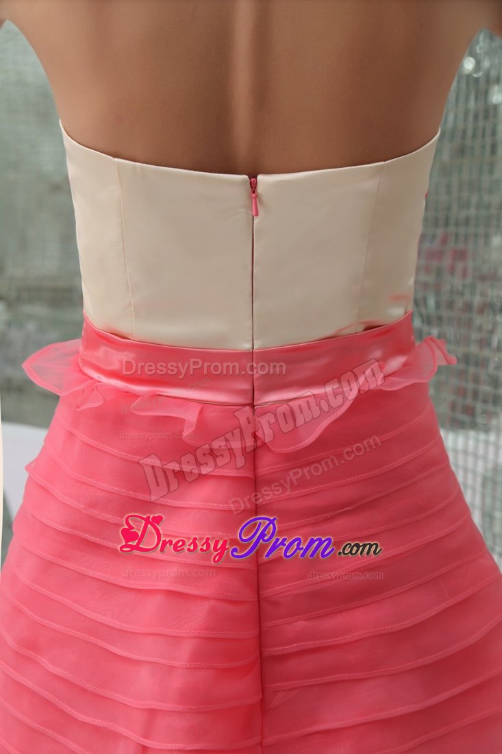 Watermelon Strapless Brush Train Prom Mother Of The Bride Dresses