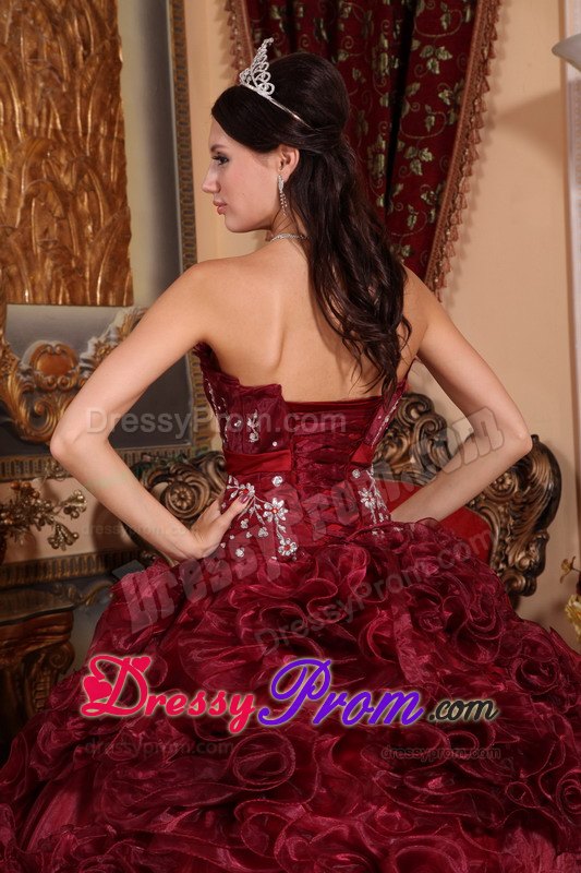 Rolling Flowers Burgundy Organza Appliques Quinceanera Dress
