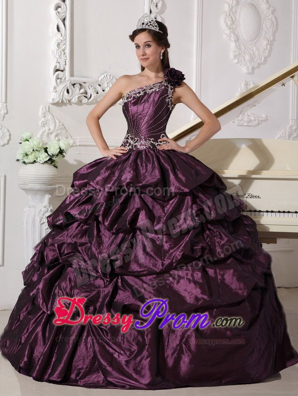 One Shoulder Appliques Dark Purple Pick-ups Quinceanera Dress