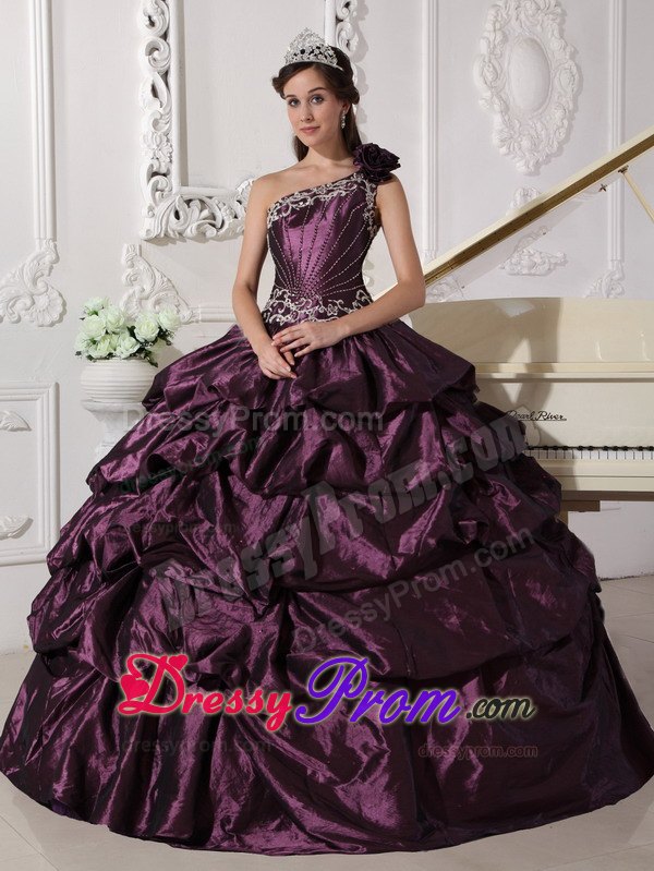 One Shoulder Appliques Dark Purple Pick-ups Quinceanera Dress