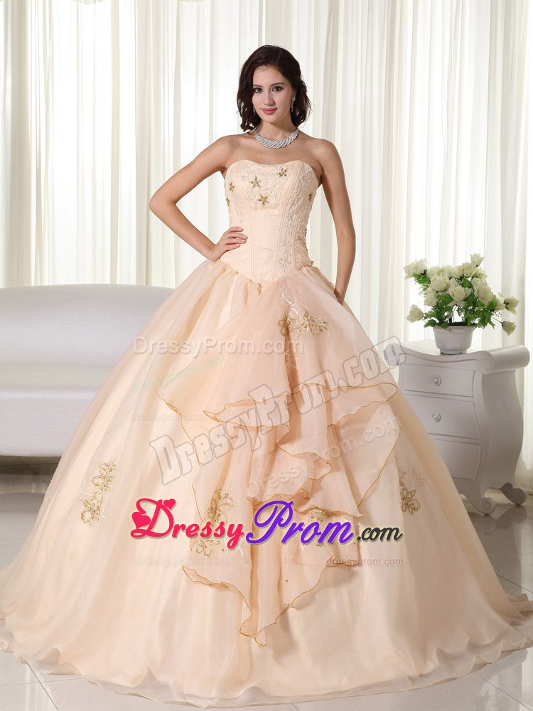 Champagne Embroidery Organza Quinceanera Dresses with Bowknot