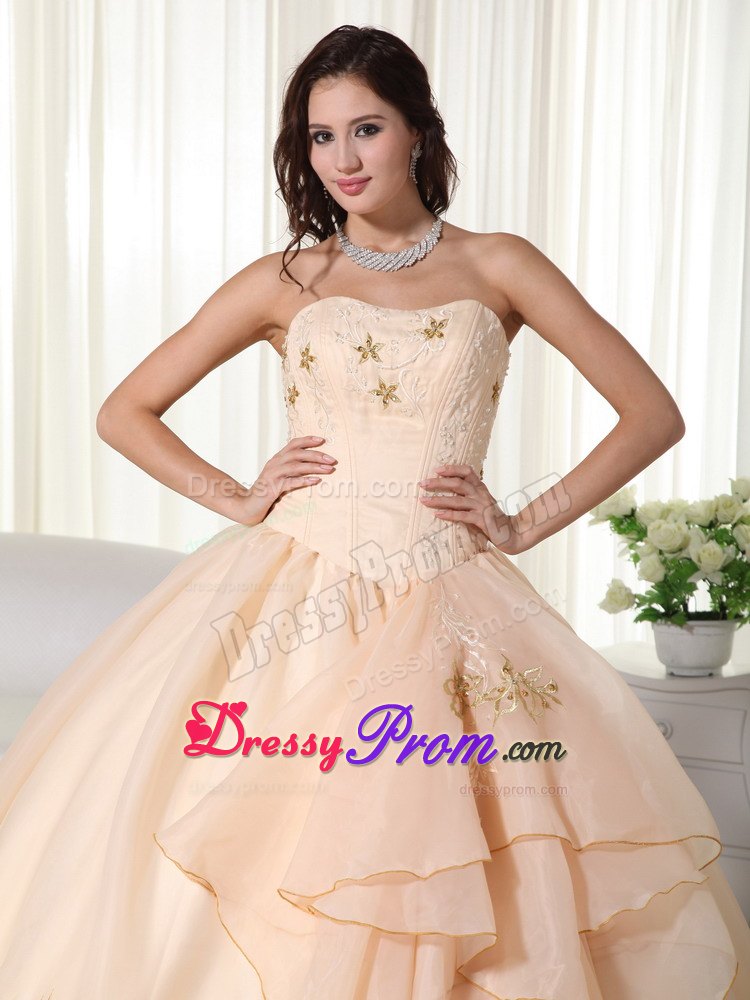 Champagne Embroidery Organza Quinceanera Dresses with Bowknot