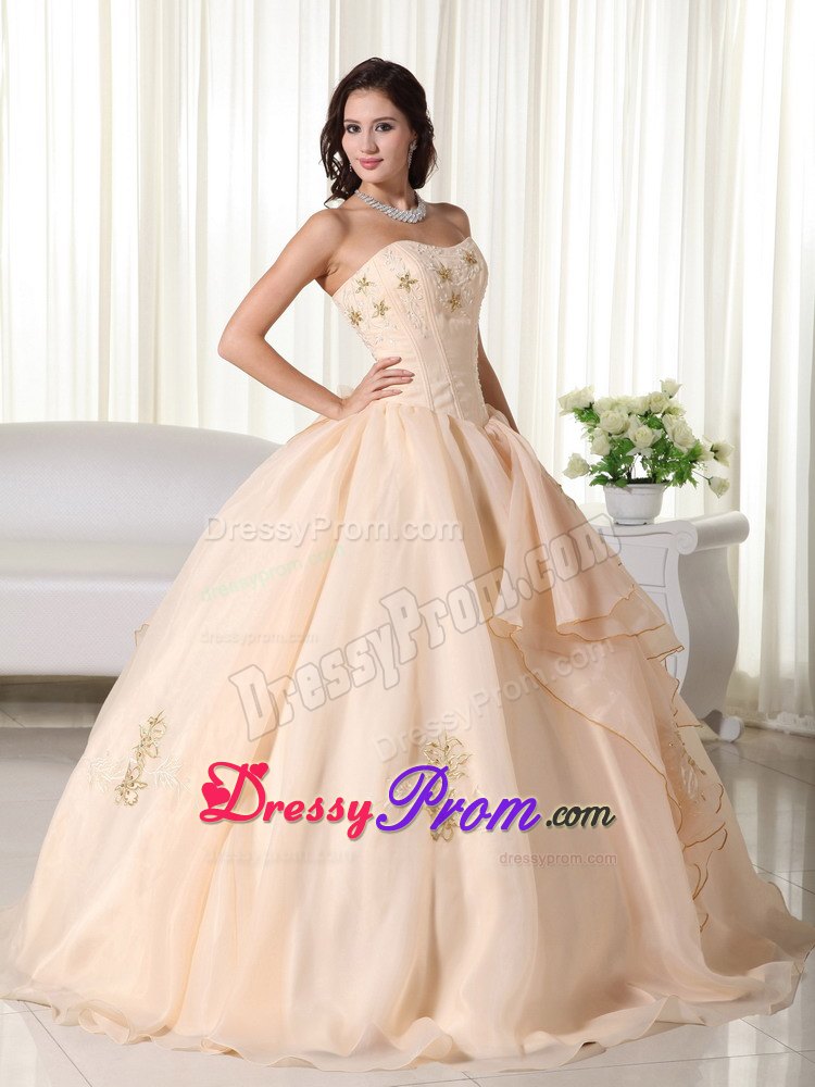 Champagne Embroidery Organza Quinceanera Dresses with Bowknot