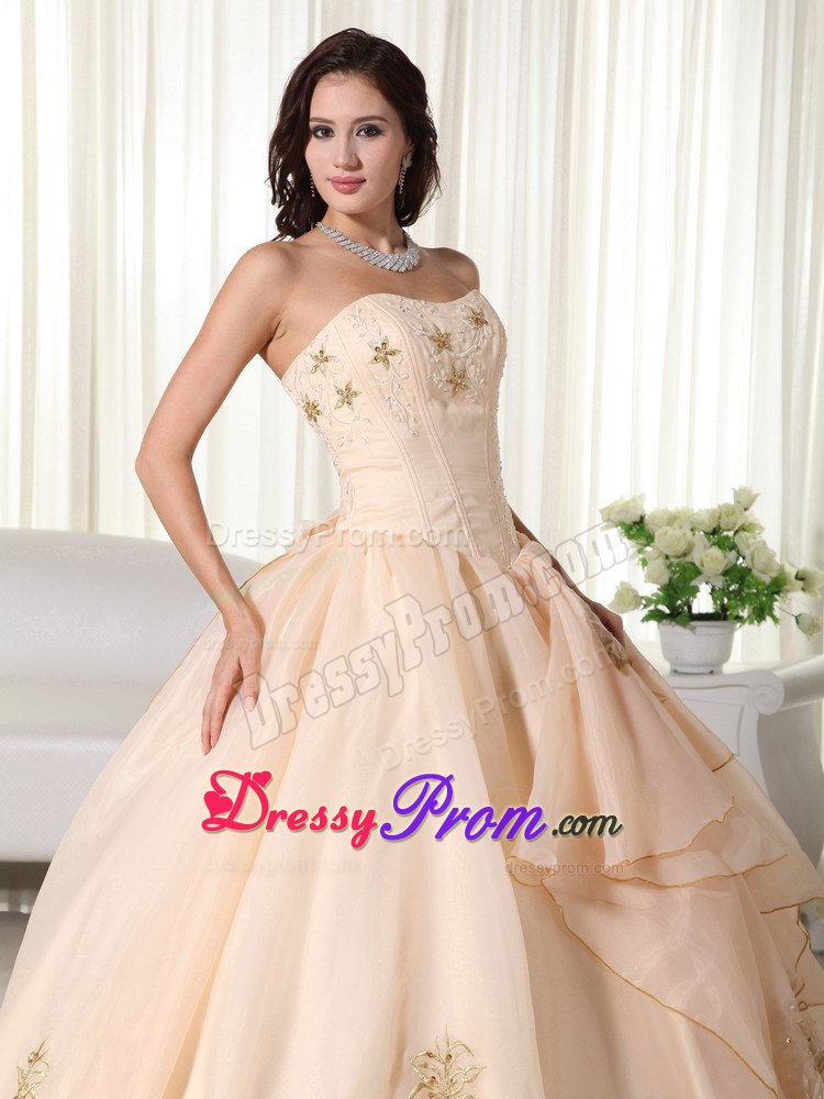 Champagne Embroidery Organza Quinceanera Dresses with Bowknot