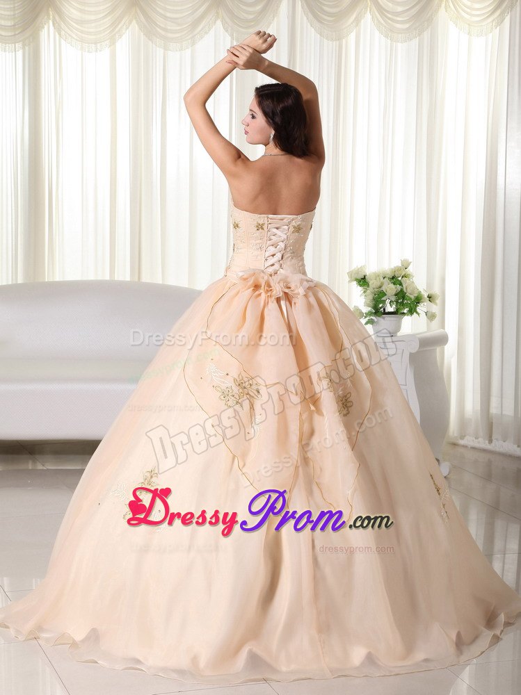 Champagne Embroidery Organza Quinceanera Dresses with Bowknot