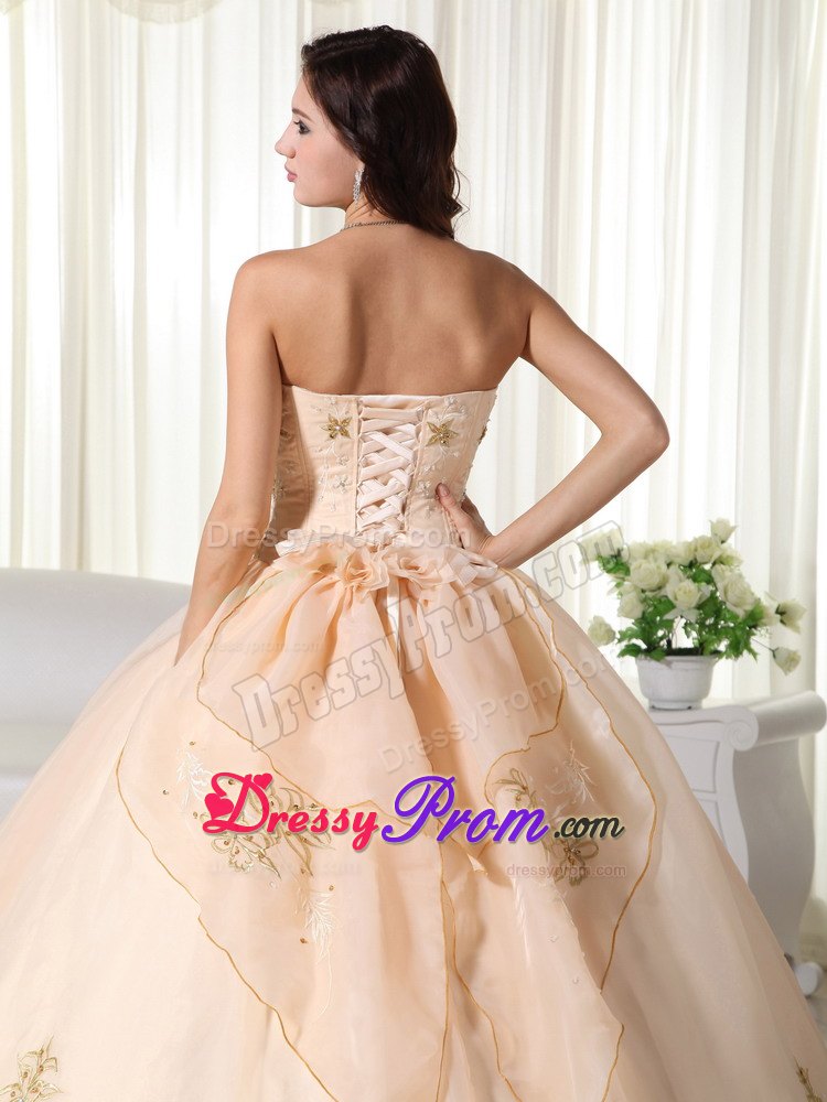 Champagne Embroidery Organza Quinceanera Dresses with Bowknot