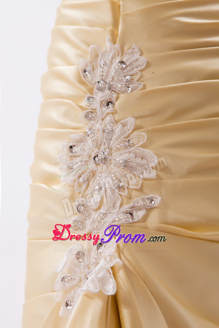 Champagne Column Sweetheart Prom Dress with Appliques and Beading