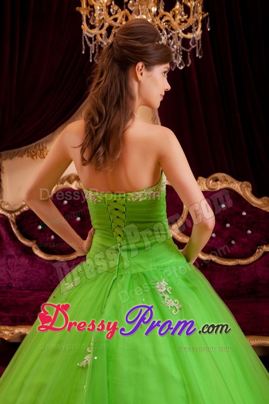 Strapless Appliques Floor-length Spring Green Tulle Quinceanera Dress