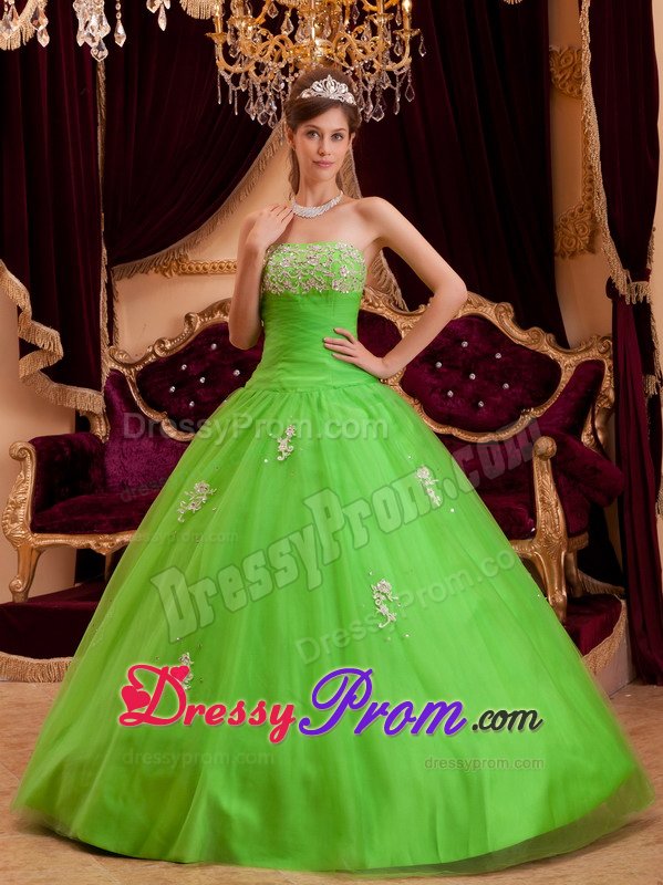 Strapless Appliques Floor-length Spring Green Tulle Quinceanera Dress