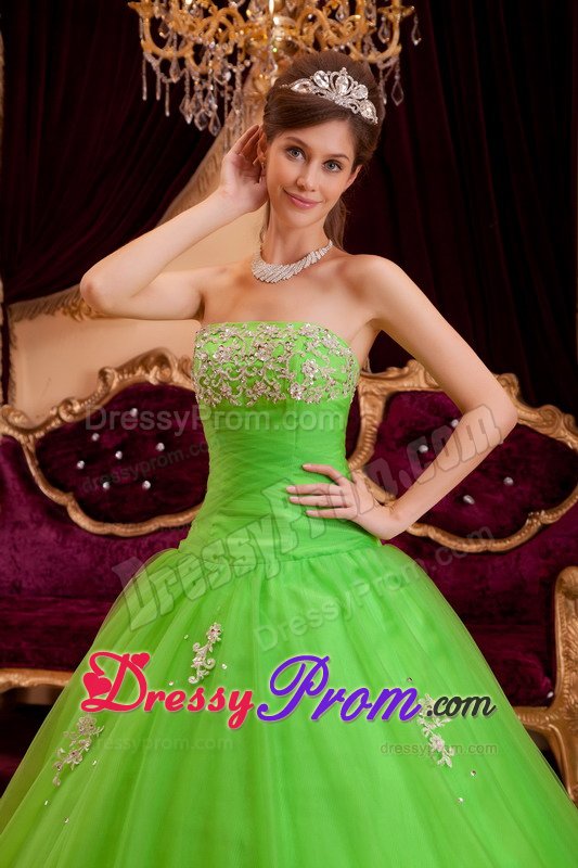 Strapless Appliques Floor-length Spring Green Tulle Quinceanera Dress