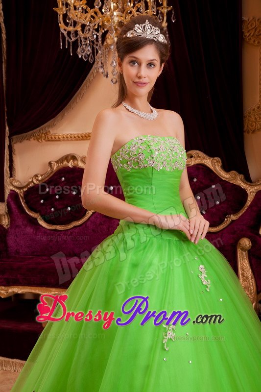 Strapless Appliques Floor-length Spring Green Tulle Quinceanera Dress