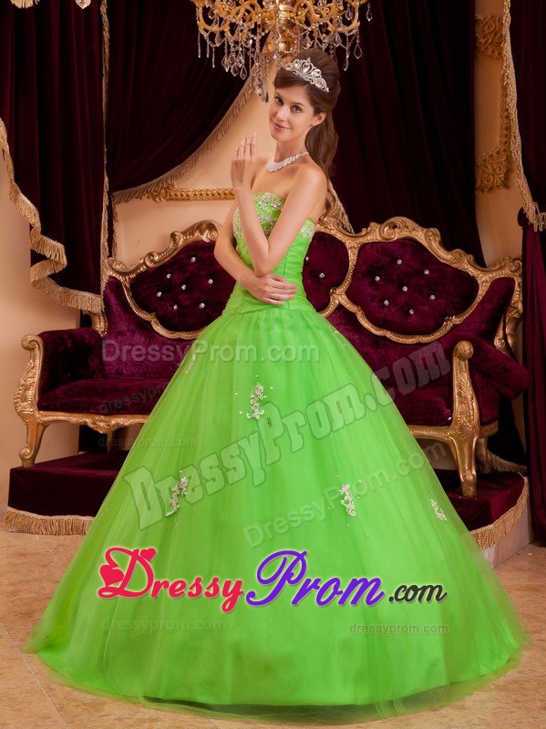 Strapless Appliques Floor-length Spring Green Tulle Quinceanera Dress