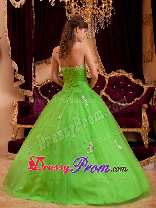Strapless Appliques Floor-length Spring Green Tulle Quinceanera Dress