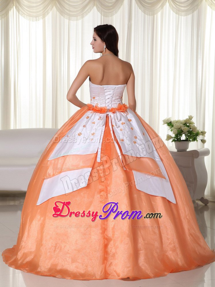 Plus Size Sweet 15 Dresses with Embroidery in Cambridgeshire