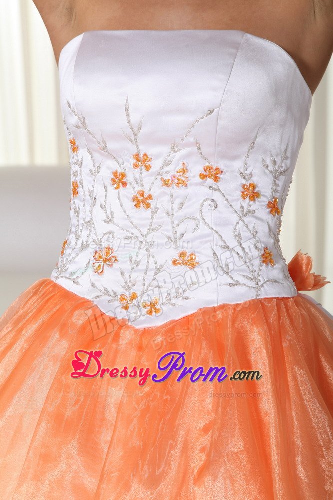 Plus Size Sweet 15 Dresses with Embroidery in Cambridgeshire