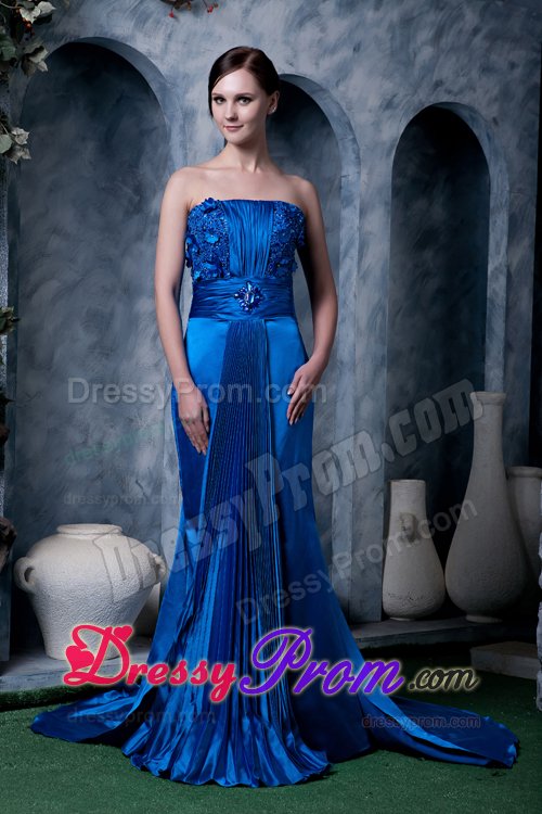 Hot Pleat Prom Gown Dress Beaded Floral Embellishment Watteau Train