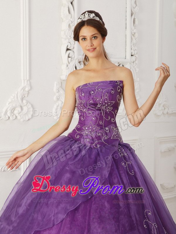 Purple Strapless Organza Quinceanera Gowns with Embroidery 2014