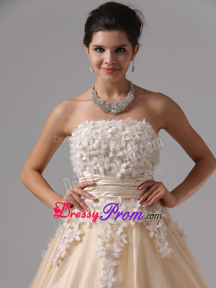 Champagne Strapless Appliques Ball Gown Prom Dress in Welland