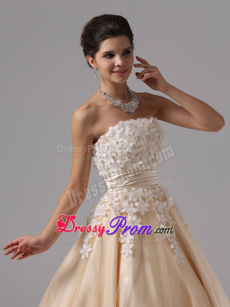 Champagne Strapless Appliques Ball Gown Prom Dress in Welland