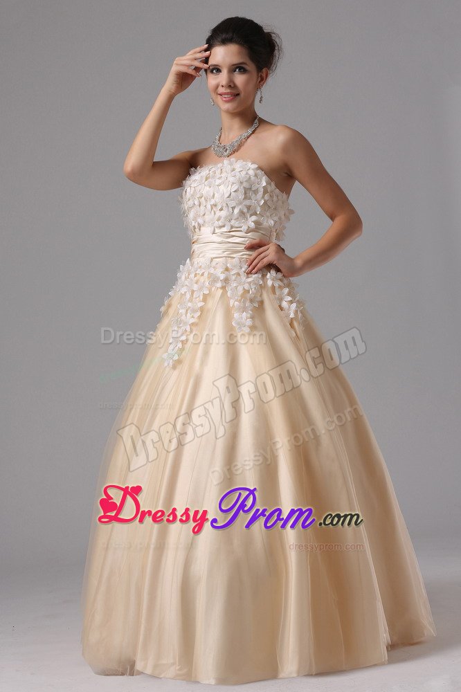 Champagne Strapless Appliques Ball Gown Prom Dress in Welland