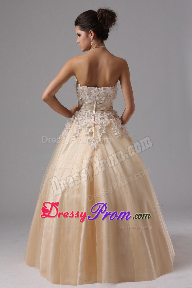 Champagne Strapless Appliques Ball Gown Prom Dress in Welland