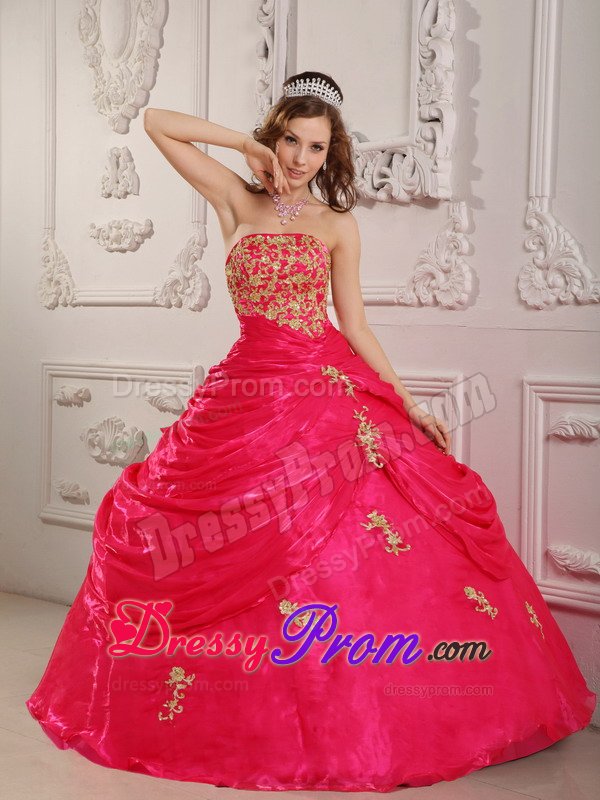 Durango CO Appliqued Organza Quinceanera Gown in Hot Pink 2014