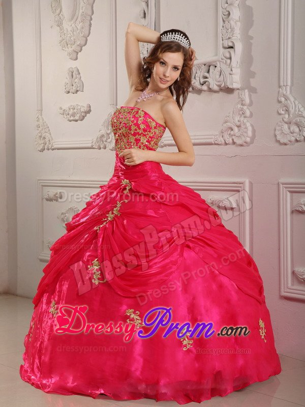 Durango CO Appliqued Organza Quinceanera Gown in Hot Pink 2014