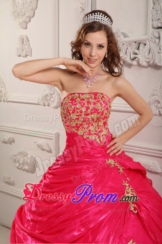 Durango CO Appliqued Organza Quinceanera Gown in Hot Pink 2014