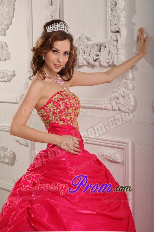 Durango CO Appliqued Organza Quinceanera Gown in Hot Pink 2014