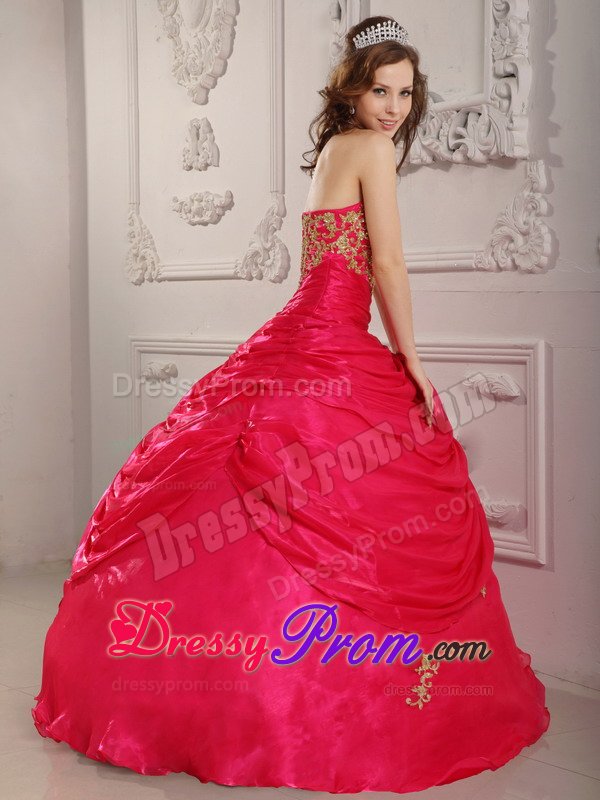Durango CO Appliqued Organza Quinceanera Gown in Hot Pink 2014