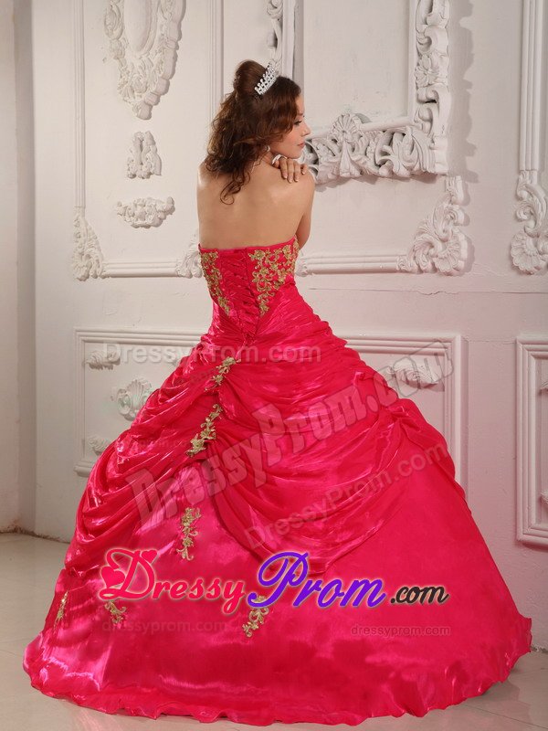 Durango CO Appliqued Organza Quinceanera Gown in Hot Pink 2014