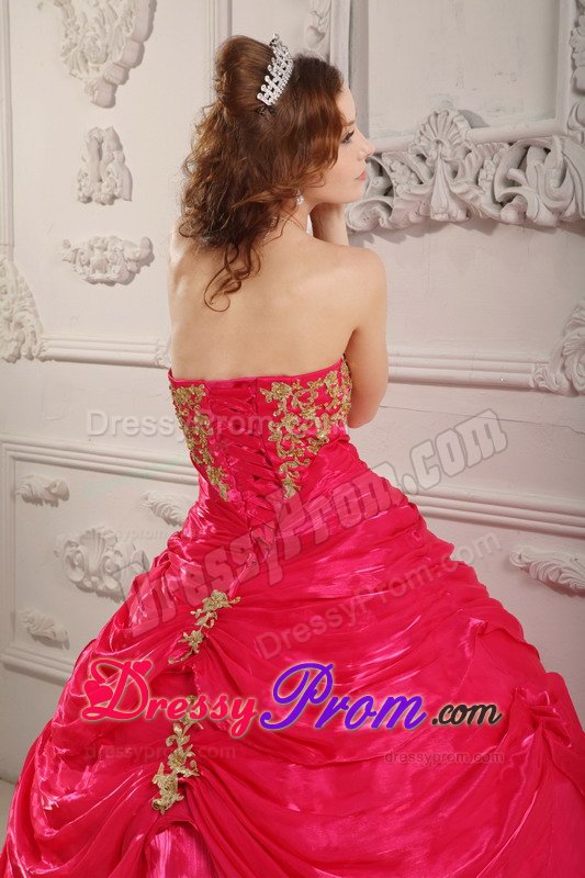 Durango CO Appliqued Organza Quinceanera Gown in Hot Pink 2014