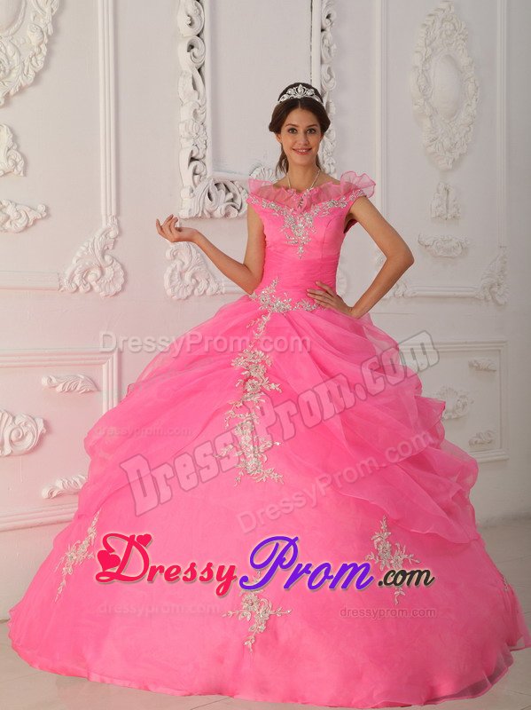 Pink Ball Gown Organza v Neck Quinceanera Dresses with Appliques