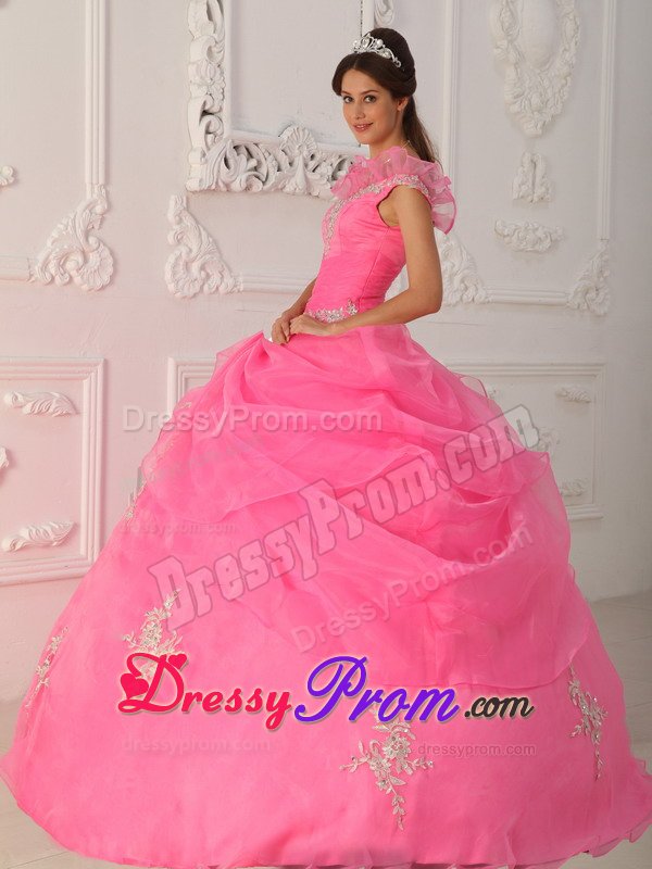 Pink Ball Gown Organza v Neck Quinceanera Dresses with Appliques