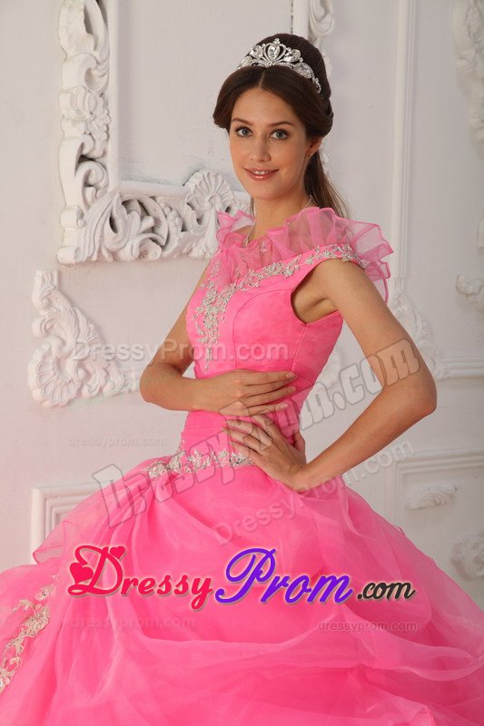 Pink Ball Gown Organza v Neck Quinceanera Dresses with Appliques