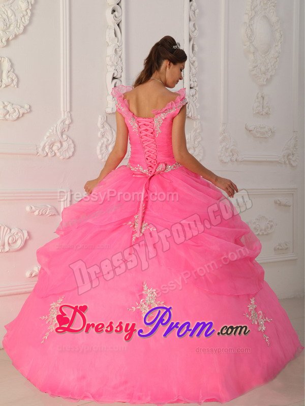 Pink Ball Gown Organza v Neck Quinceanera Dresses with Appliques