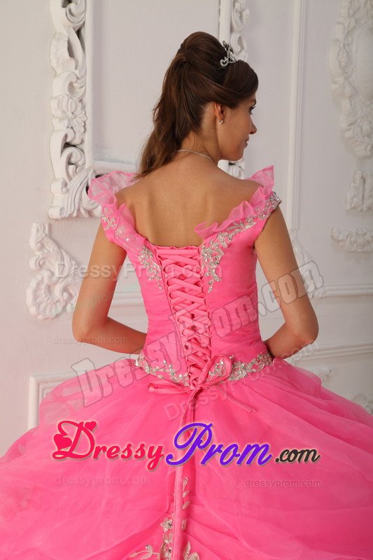 Pink Ball Gown Organza v Neck Quinceanera Dresses with Appliques