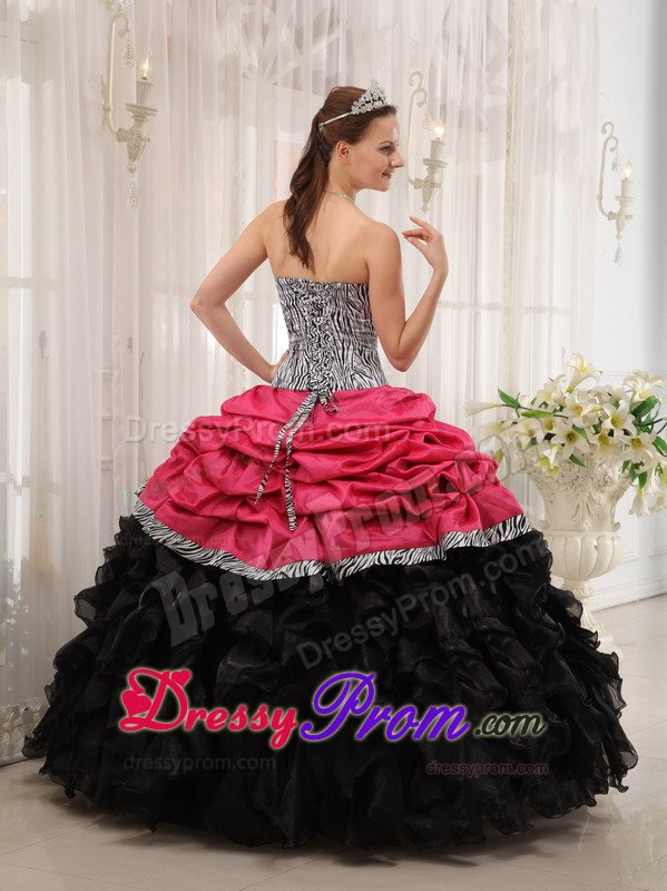 Pick ups and Ruffles Accent Hot Pink and Black Quince Gown Zebra