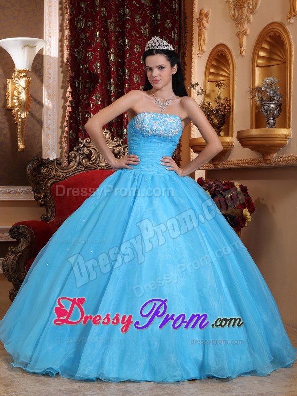 Appliqued and Beaded Baby Blue Organza Sweet Sixteen Dresses