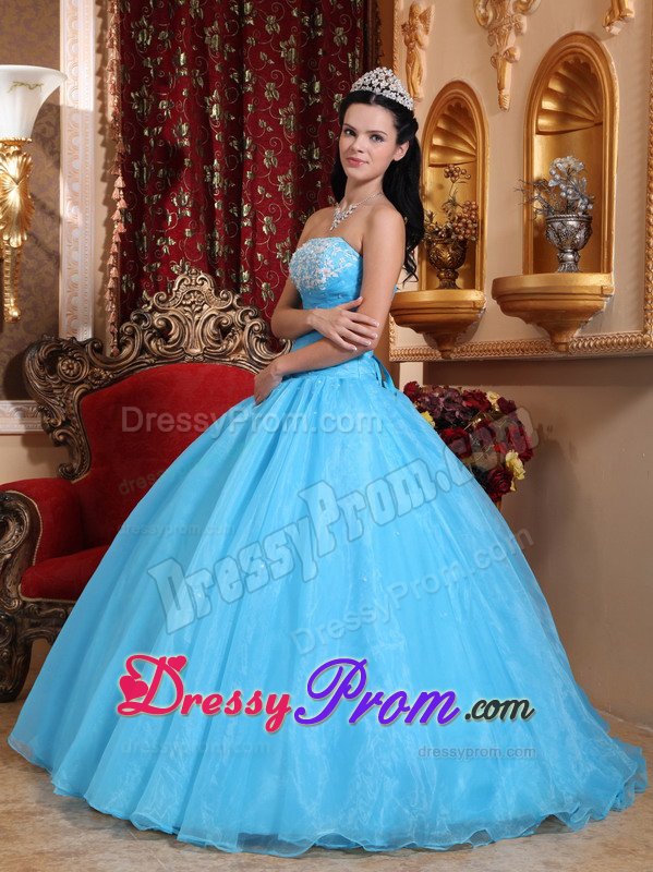 Appliqued and Beaded Baby Blue Organza Sweet Sixteen Dresses
