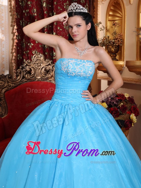 Appliqued and Beaded Baby Blue Organza Sweet Sixteen Dresses
